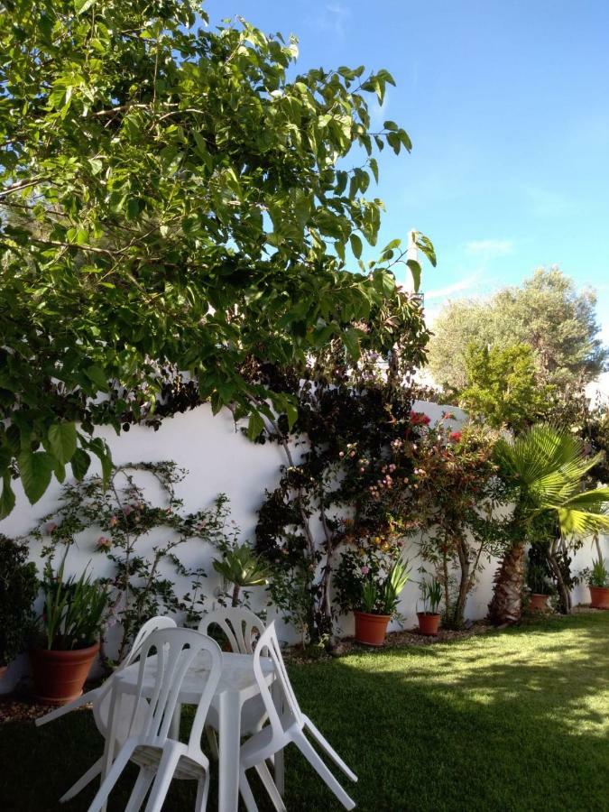 Villa Oliveira 알부페이라 외부 사진